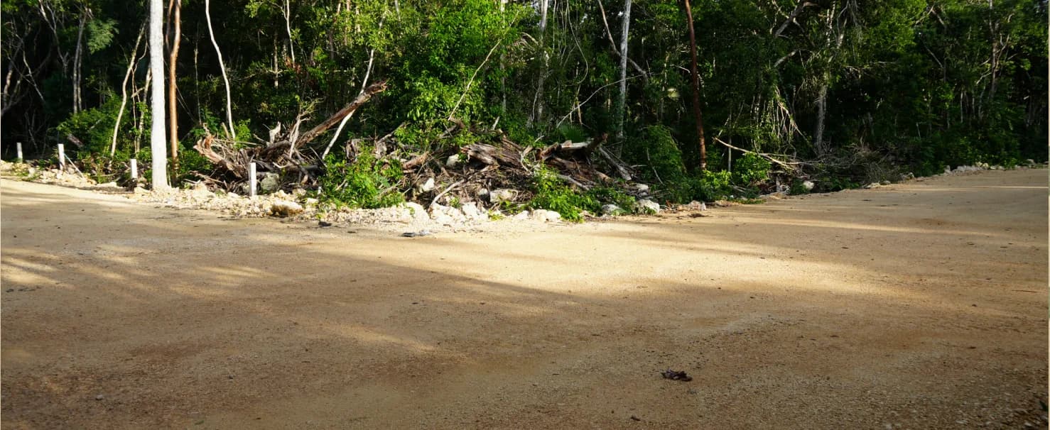 Lotes residenciales en la Región 11 de Tulum - 6