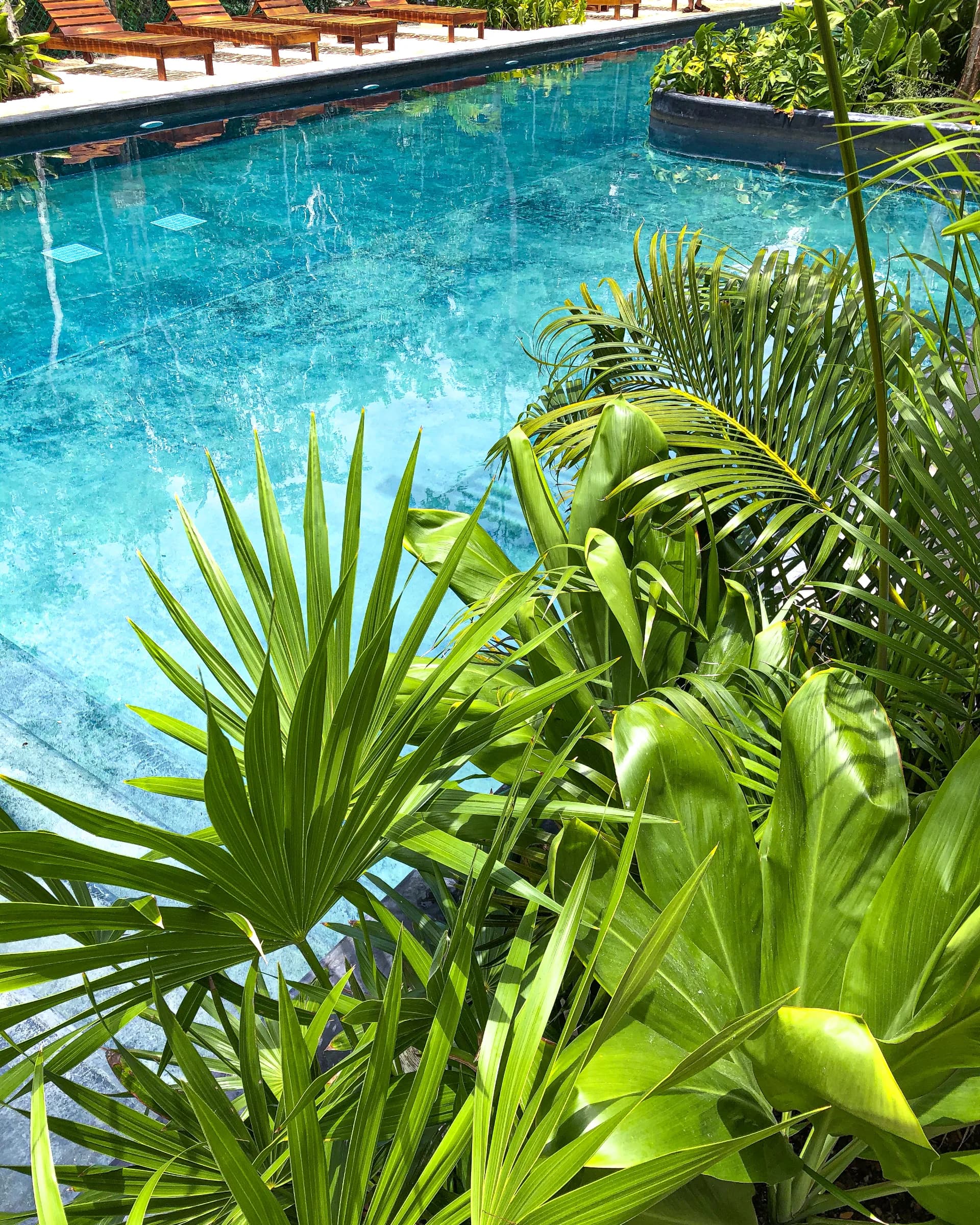 Casas, dúplex, departamentos y estudios entre la selva maya en el corazón de Tulum - 13
