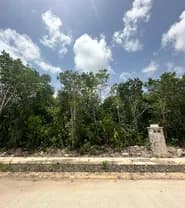 LOSANTOS CANCUN - 33