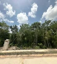LOSANTOS CANCUN - 35