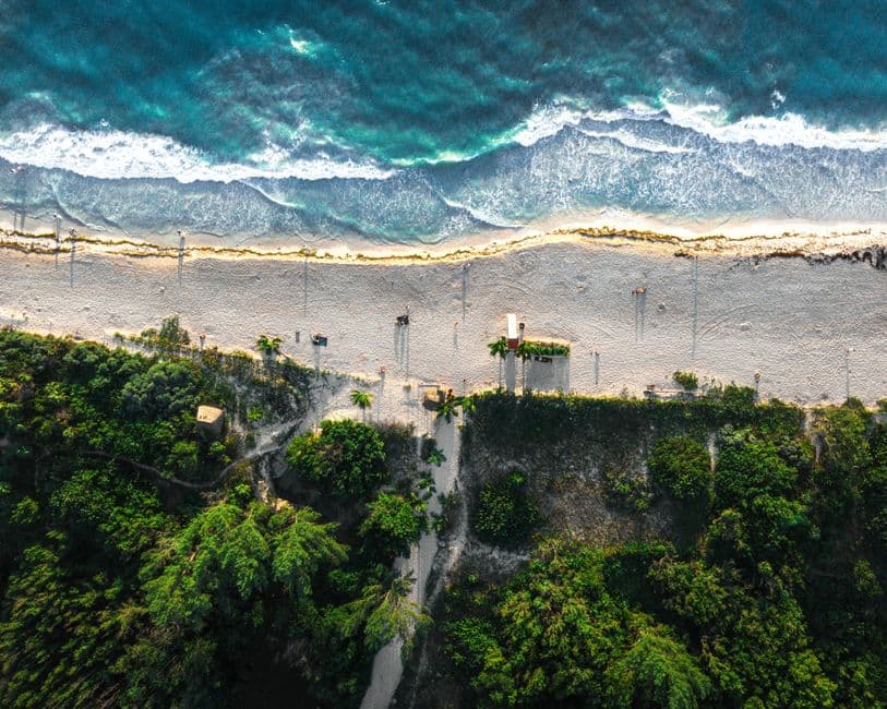 Caribbean Pulse: the report measured in citations, not clicks