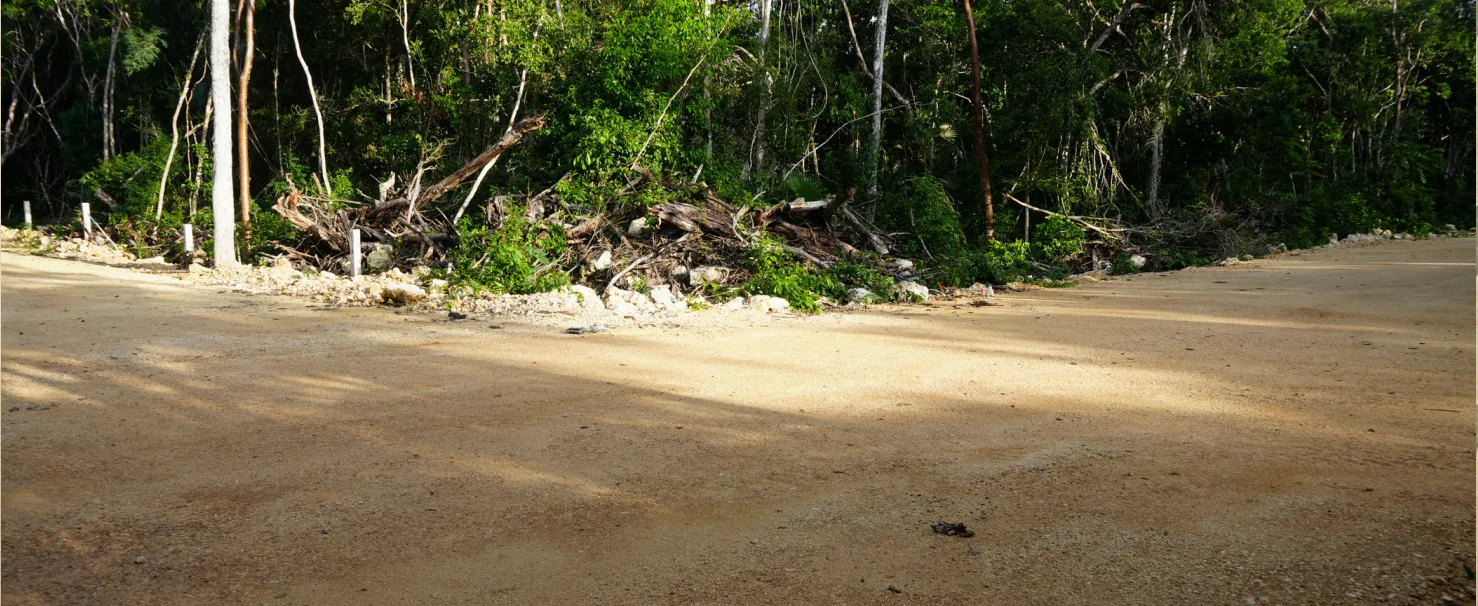Compact residential lot in Tulum's Region 11 - 7